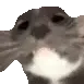 lookhere lookhere
