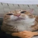 emoji_44