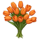 033_FlowersTulipsOrange