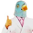 PigeonLikesThis