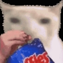 A blurry white cat holding a blue bag of chips and eating with a blank expression.