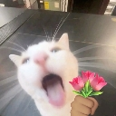:emoji_31: