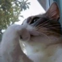 emoji_43 Discord sticker from NV