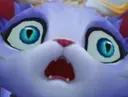 shooki shooki