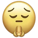 emoji_28