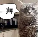 glup glup