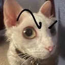 no_milk