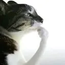 thinker