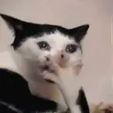 emoji_5