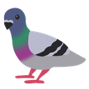 pigeon Discord emoji