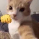 punch