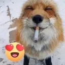 foxsmoke
