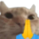 Cat_Pray