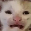 cc_esperakhe