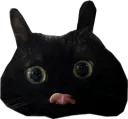 slimecat