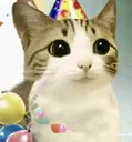 yay