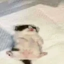 imdead