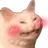 cattoblush