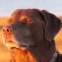 whenYouRealize