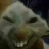 xddx