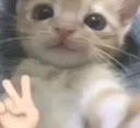 qq qq