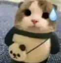Catoopsie