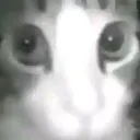 aycabron
