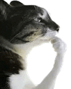 TheThinker Discord emoji