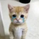 emoji_19