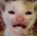 ohSHYGA