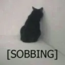 catsobbing catsobbing