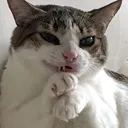 evilplotting