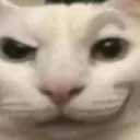 catantidespair