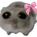 sadhamster