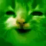 GlorpWheee