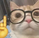 fatesocial_cat_nerd