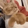 zCatAway