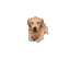 zDogArrive