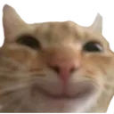 CatSmile