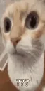 wha