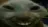 xddd