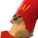 mcdonaldscat