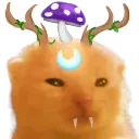 GlorpDruid GlorpDruid