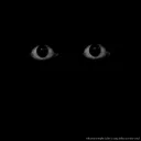 WhereAmEye