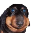 gubble