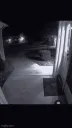 goodboy