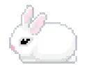1wbunnysleep