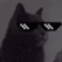 thugcatvibe