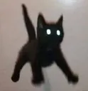 FlyingCat