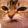 gab